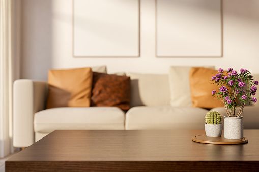 iStock-2264479753